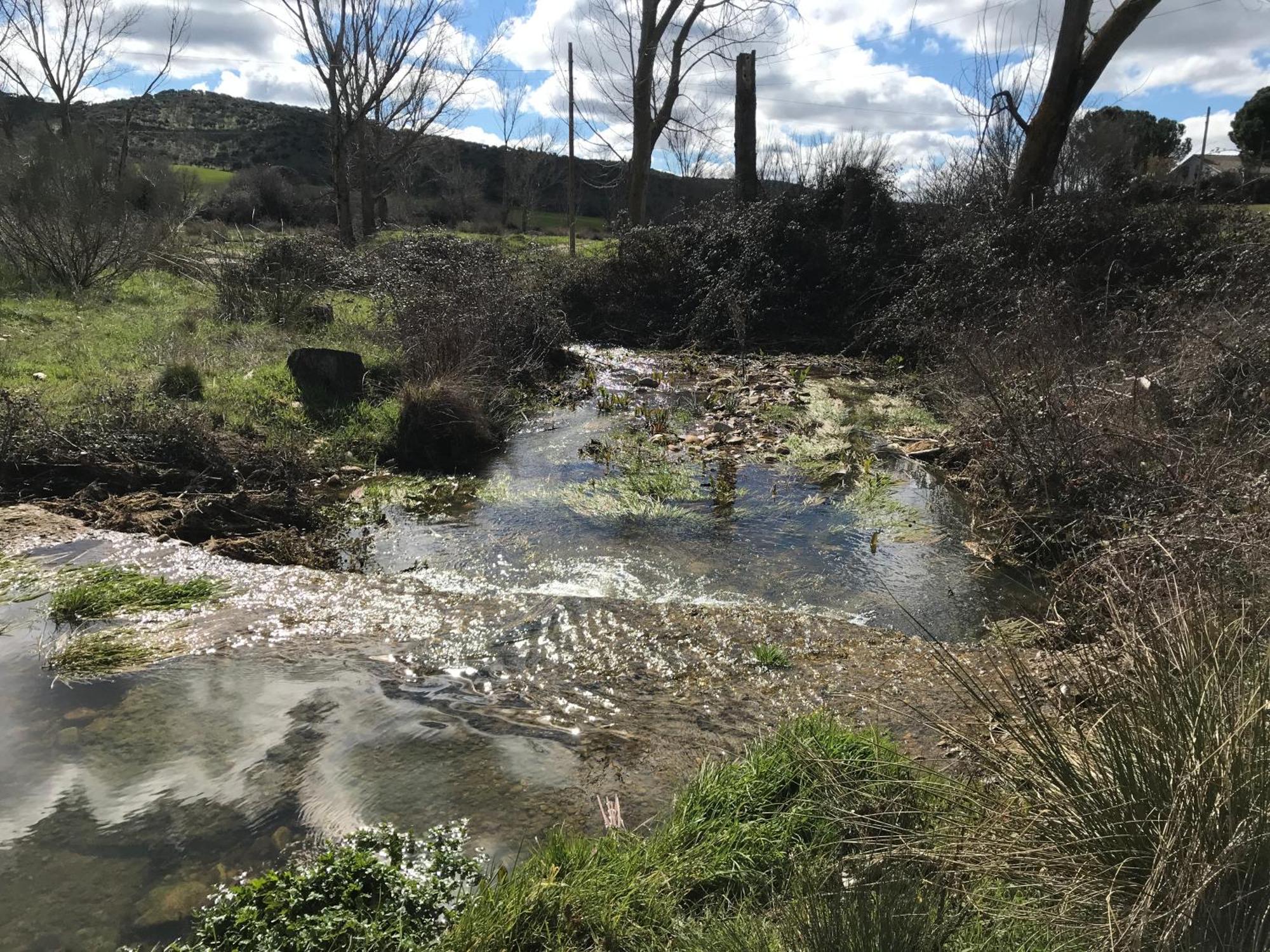 Los Cipreses De Mesones Mesones  Esterno foto